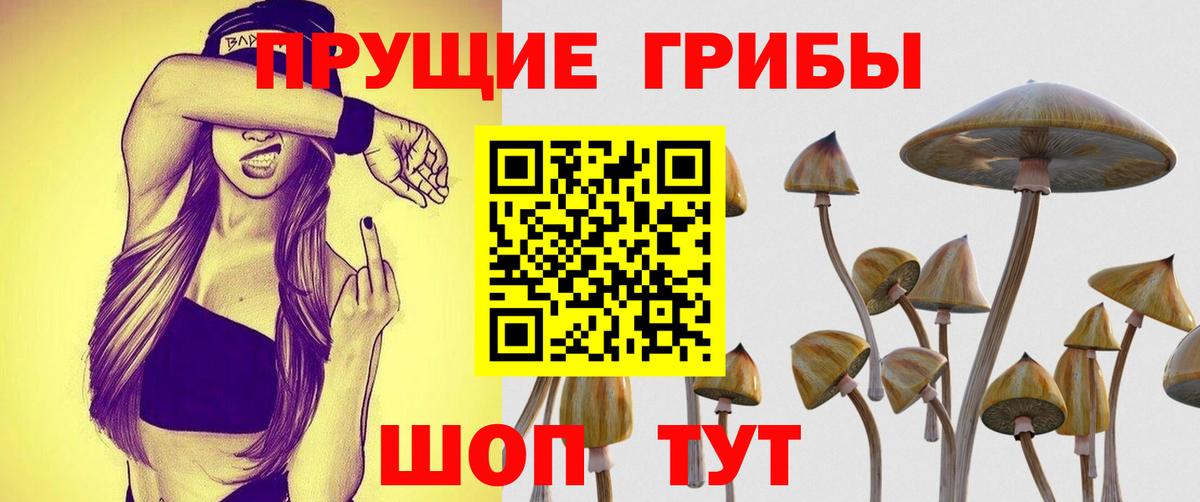 Галлюциногенные грибы Psilocybine cubensis Топки