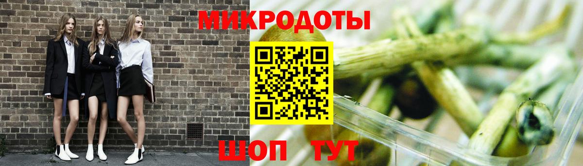 Псилоцибиновые грибы Psilocybe  Галлюциногенные грибы прущие грибы  Вход с VPN  Топки 